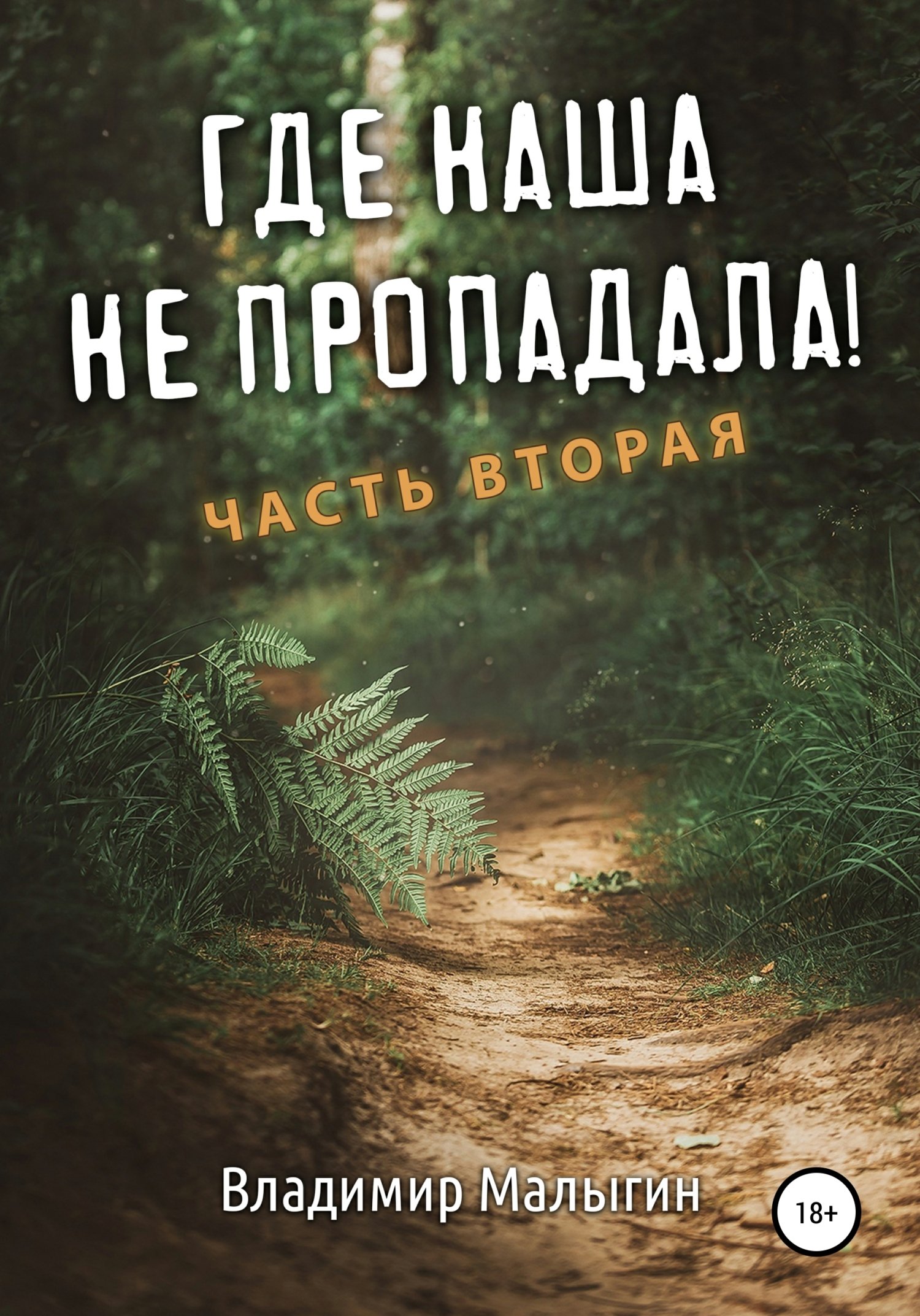 Где наша не пропадала. Часть вторая Владимир Малыгин слушать аудиокнигу  онлайн без регистрации