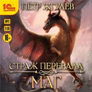 Страж перевала 1. Маг - Пётр Жгулёв